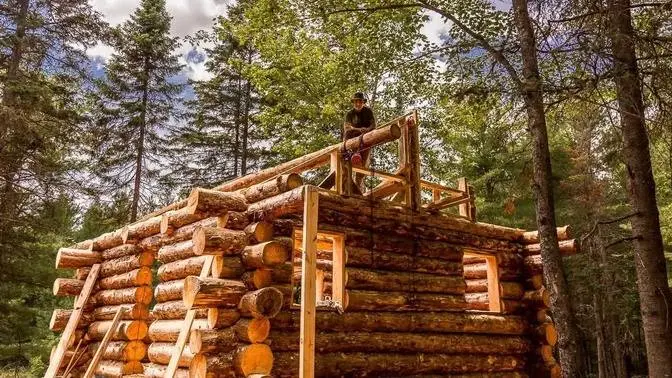 Building An Off Grid Log Cabin Alone In The Wilderness Ep Framing