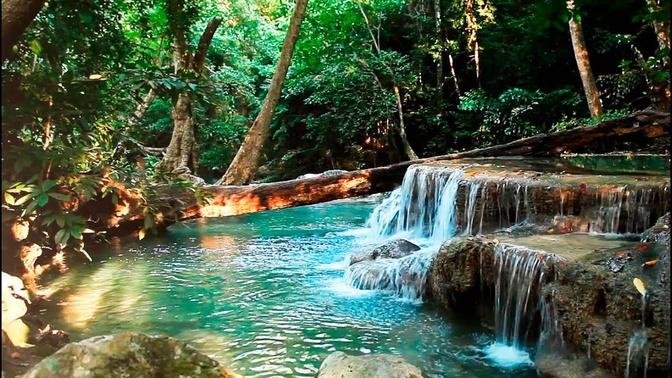 Rainforest Sounds - Water Sound Nature Meditation