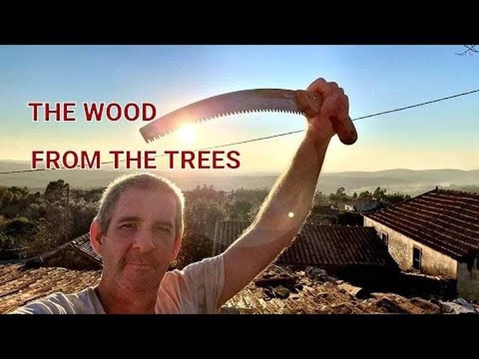  CLEARING THE WOOD FROM THE TREES/CAR PORT CONTINUES/ORGANIC PLANTING/SATISFYING TIMELAPSE. 