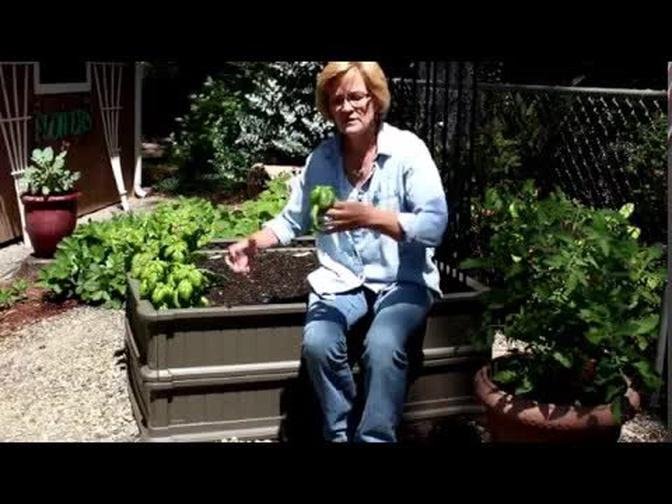 Small space veggie gardens!/Easy snap together raised beds that will last!/Garden Style nw