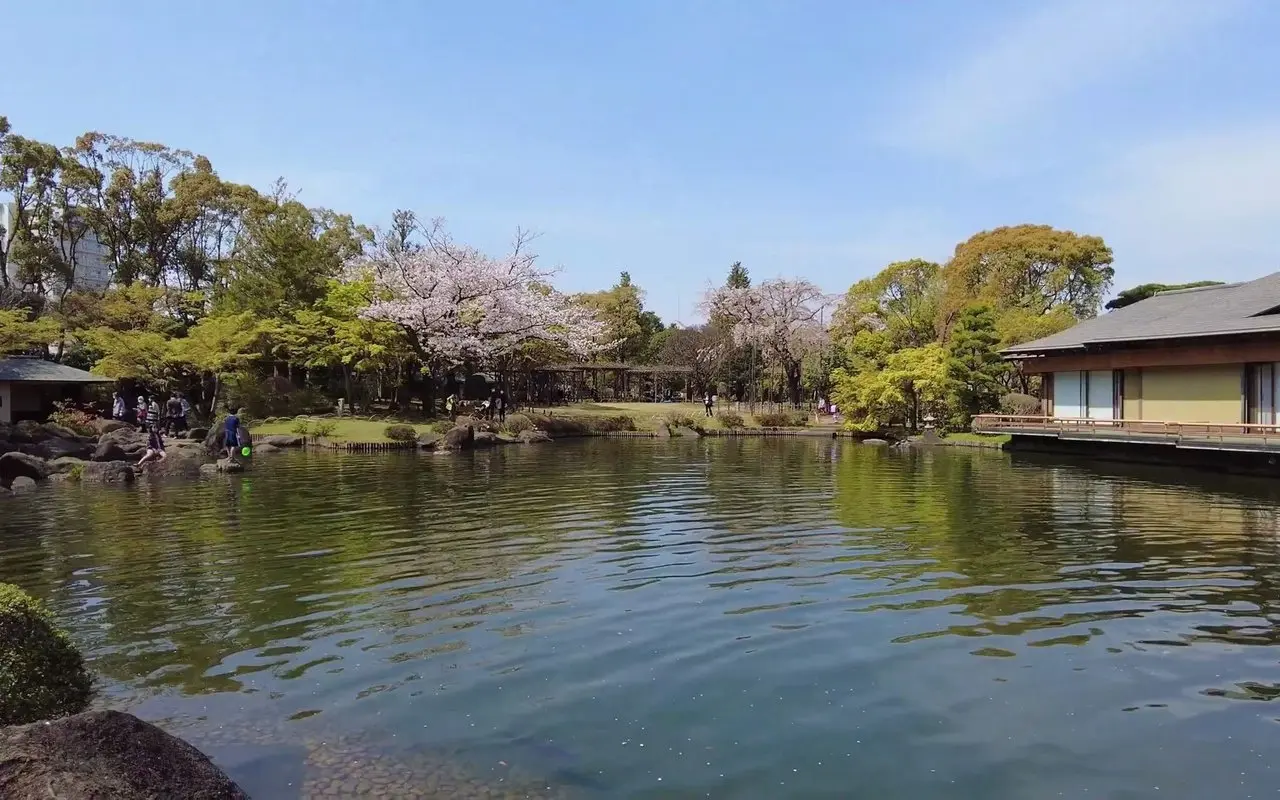 【日本巡礼-13.东京都】平成庭園 | 桜 |