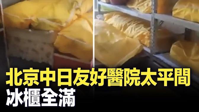 北京中日友好醫院太平間內，冰櫃全滿，19具遺體直接放在地面上。