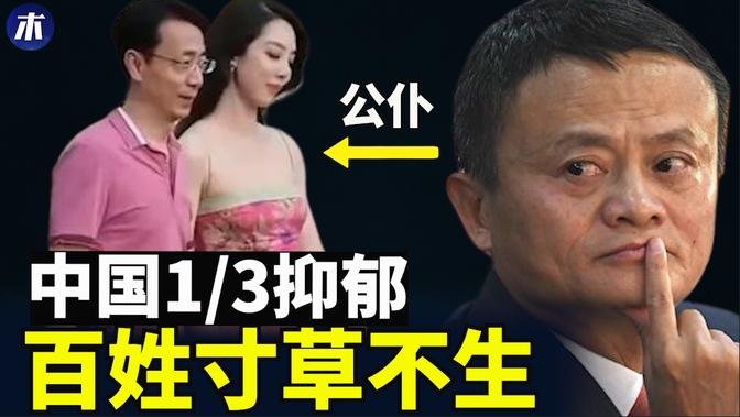 韭菜百姓浑身都是宝，阿里巴巴巨额罚单，淄博烧烤凉了，走路被罚款第一人，大树底下寸草不生，公仆经济的根本原因（小木谈天第359 20230708）