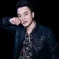 Hồng Dương Official