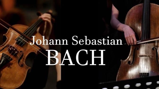 Johann Sebastian Bach - Brandenburg Concerto No.3 in G, BWV 1048, III ...