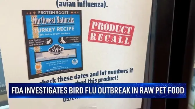 FDA Investigates Bird Flu Outbreak in Raw Pet Food