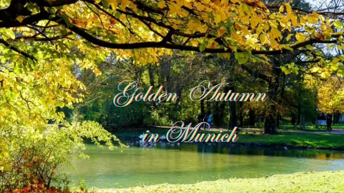 Golden Autumn in Munich🍂🌿🇩🇪🍁#Fallfoliage#记录自然#wonderfulBavaria