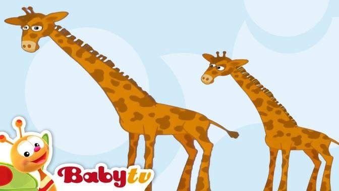 Giraffe | Animal Sounds and Names for Kids & Toddlers | BabyTV