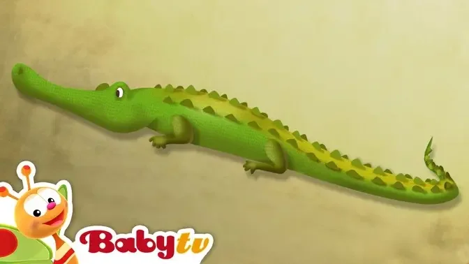 Crocodile | Riddle Games With Animals | BabyTV