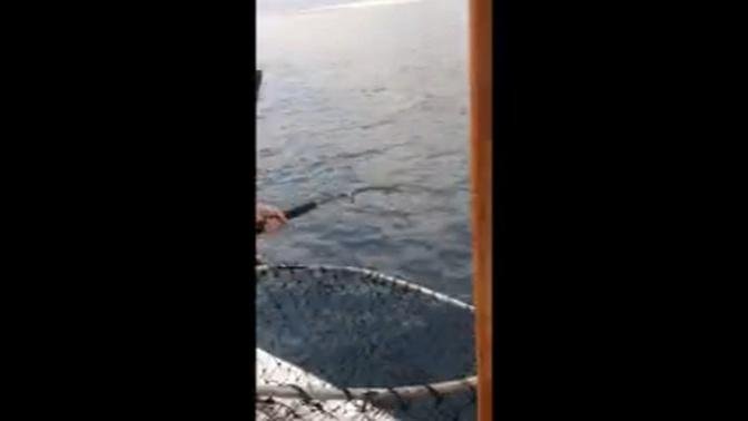 How not to use a landing net! Epic Fail!