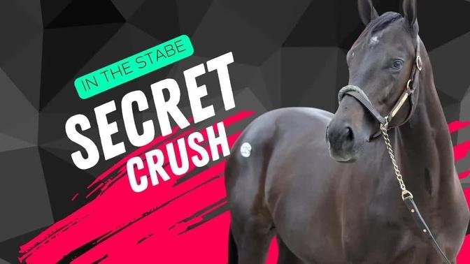 Unbelievable: This Horse Has an Absolutely Star-Studded Pedigree from Top to Bottom