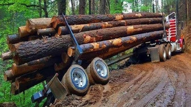 Extreme Dangerous Biggest Logging Wood Truck Driving Skill Heavy Equipment Loading Climbing Working