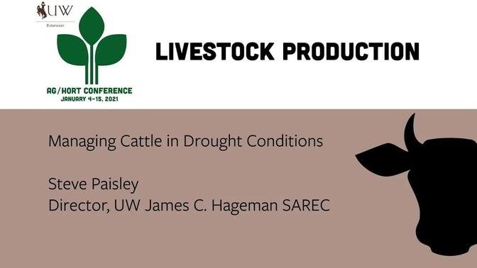 Managing Cattle in Drought Conditions