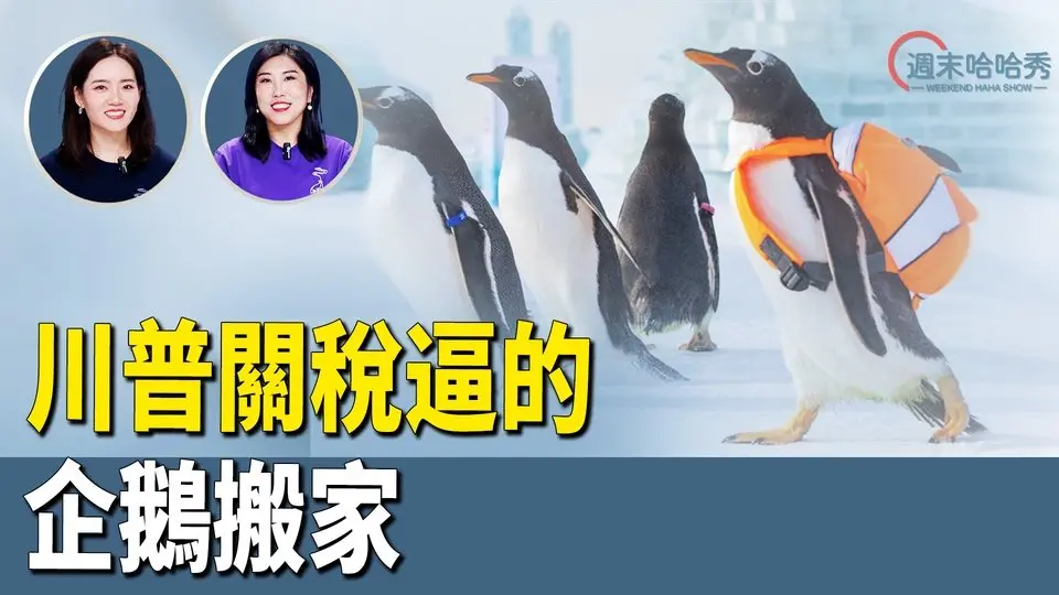 川普的關稅大棒之下，企鵝也要搬家；美國華人揮舞菜刀和警察對峙被擊斃；國產車你不知道的真相 【哈哈秀】