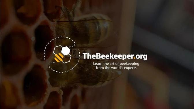 TheBeekeeper.org - Learn the art of beekeeping from the world's experts