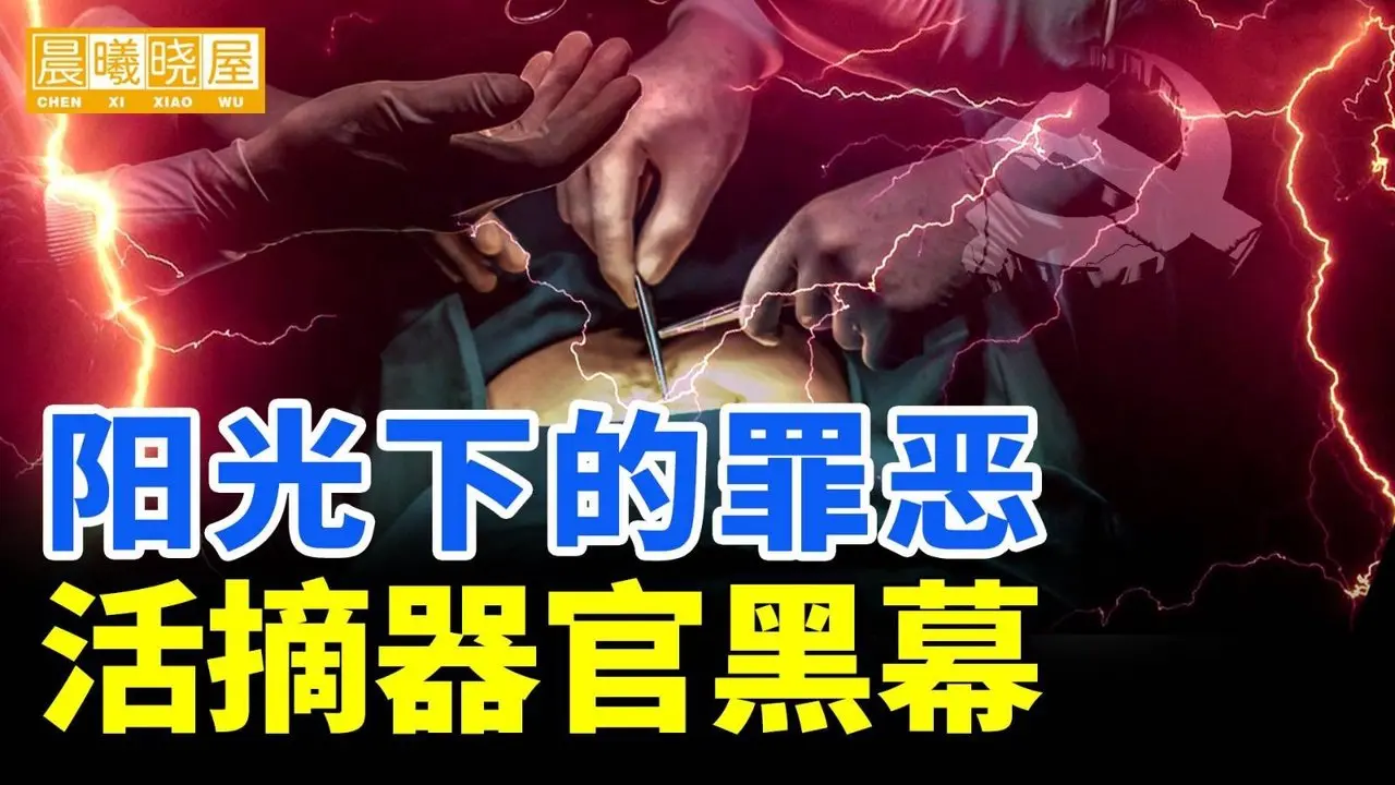 陽光下的罪惡，活摘器官黑幕｜神傳文化｜知識分享｜人生智慧 【晨曦曉屋】