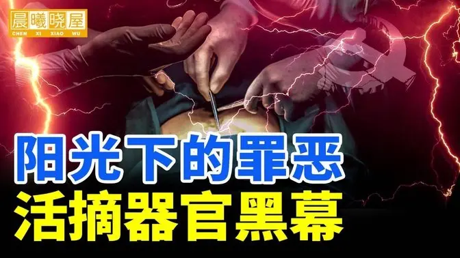 陽光下的罪惡，活摘器官黑幕｜神傳文化｜知識分享｜人生智慧 【晨曦曉屋】