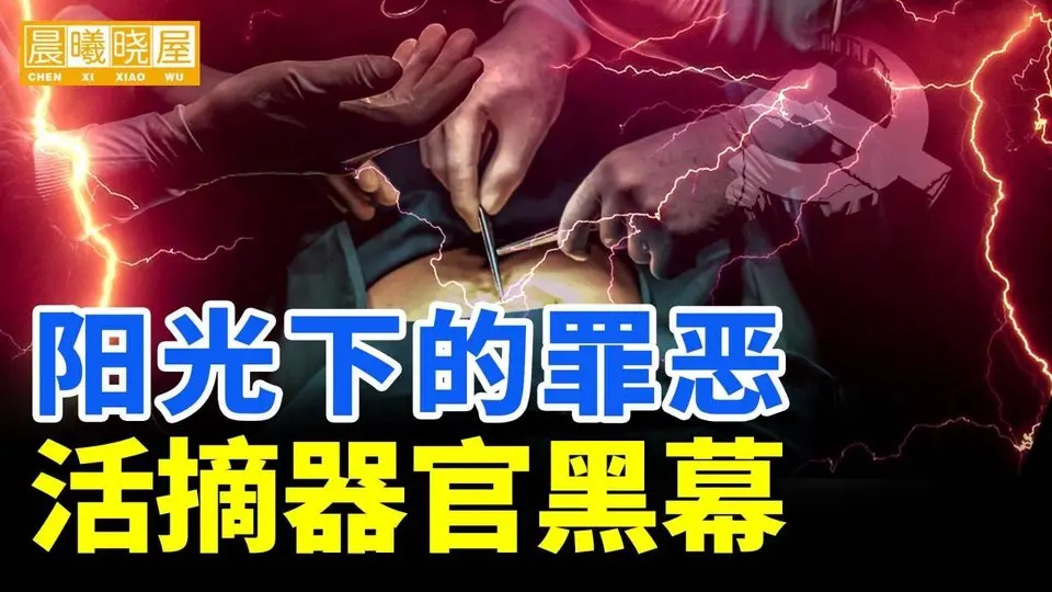 陽光下的罪惡，活摘器官黑幕｜神傳文化｜知識分享｜人生智慧 【晨曦曉屋】