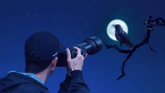 Photographing 10,000 Crows in the Middle of the Night