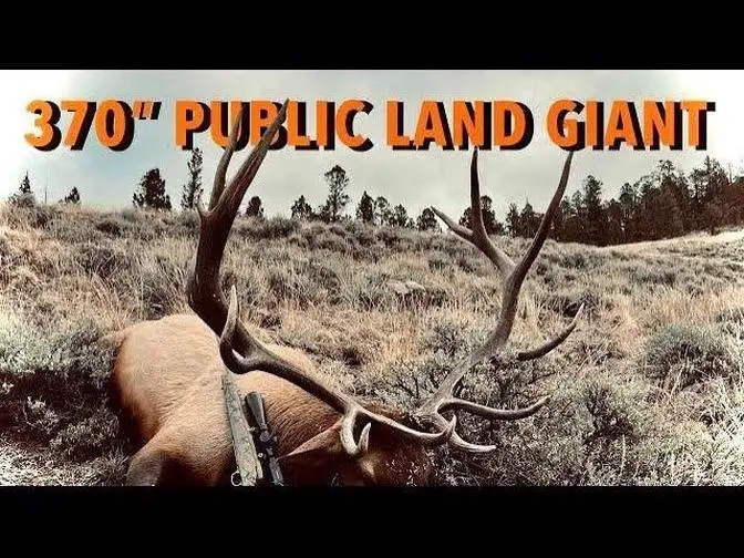 OTC Colorado Bull Elk Hunt S7E18 Limitless Outdoors