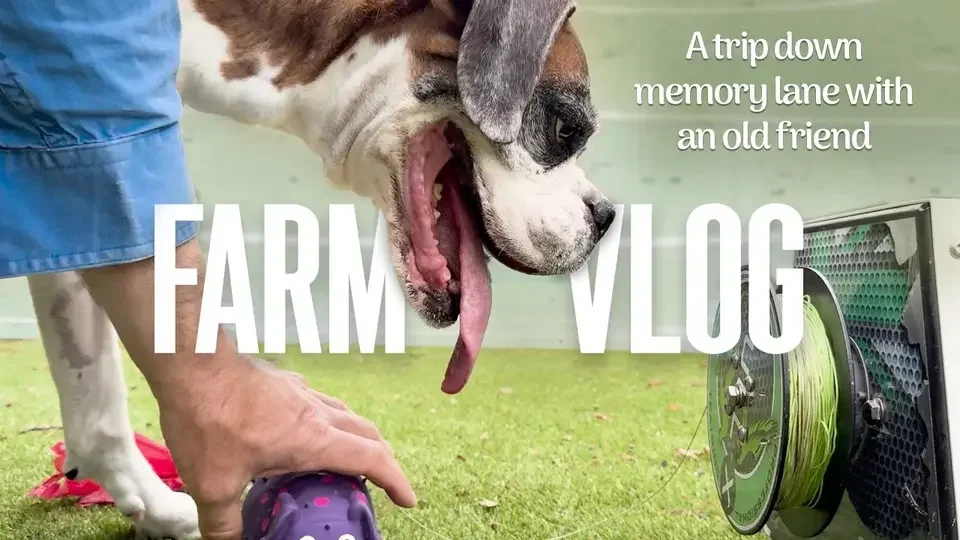 Visiting an Old Friend One Last Time | The Australian Dog Farm Vlog
