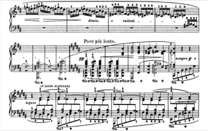 Chopin: Polonaise-Fantaisie Op.61 in A-flat (Richter)
