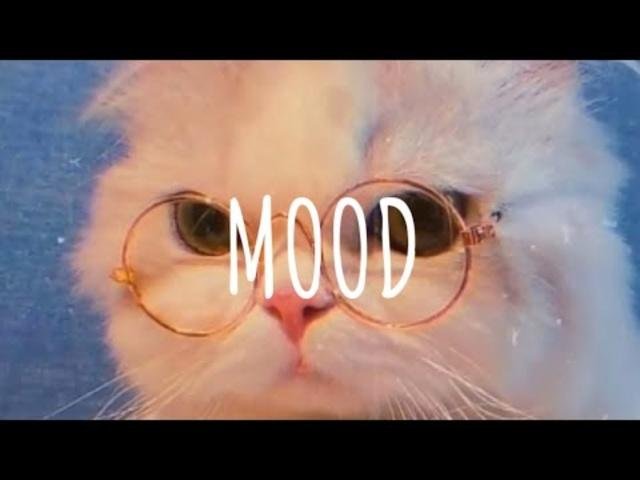 [Vietsub + Lyric] 24Kgoldn - Mood (remix) | Dangling x Dusk Music