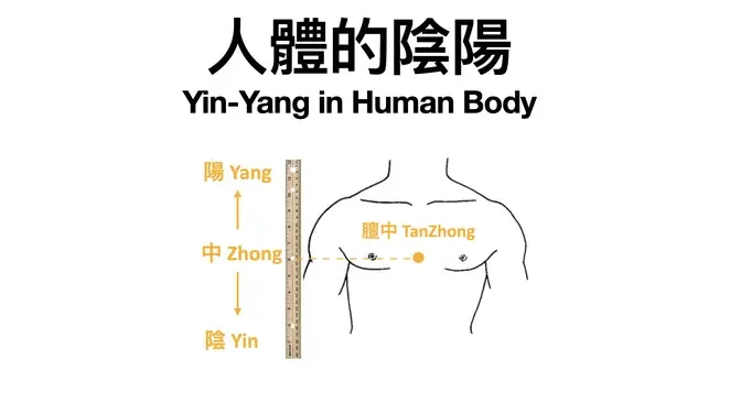 10-人體的陰陽 Yin-Yang in Human Body