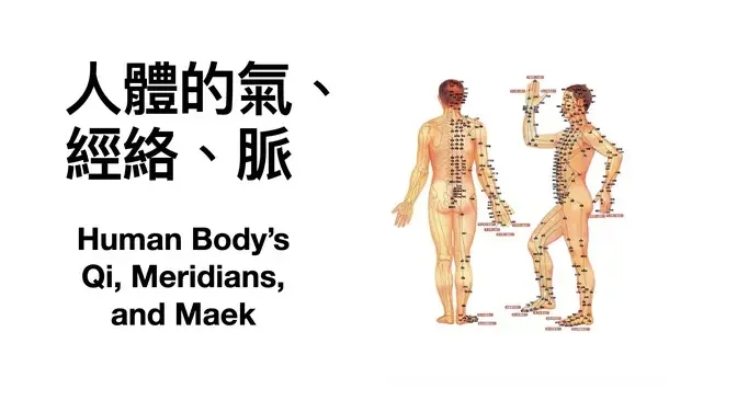 6-人體的氣、經絡、脈 Qi, Meridians, and Maek in Human Body