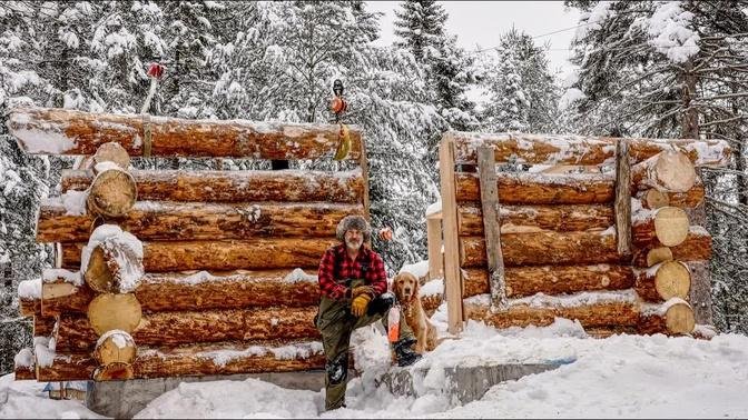 Building An Off Grid Log Cabin Alone In The Wilderness Ep 9 Videos My Self Reliance Gan