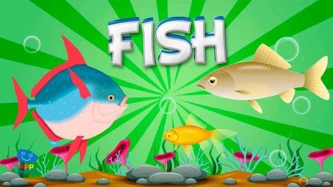Fish | Educational Video for Kids.