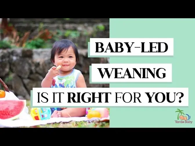 Unleash the Benefits of Baby-Led Weaning: Is it the Perfect Fit for Your FamBam?