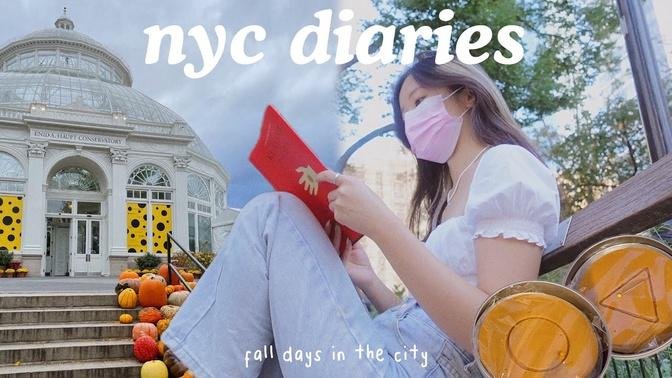  nyc diaries_ cozy fall days, art exhibits, playing squid game dalgona game.