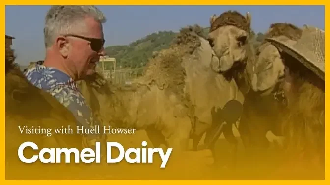 Camel Dairy | Visiting with Huell Howser | KCET