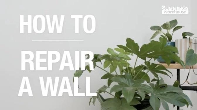 How to Fix a Hole in the Wall - Bunnings Warehouse