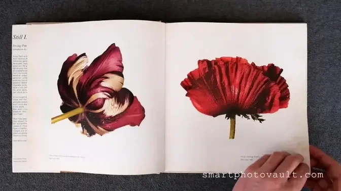 STILL LIFE - IRVING PENN PHOTOGRAPHY BOOK