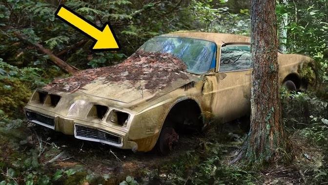 The Most Amazing Abandoned Cars