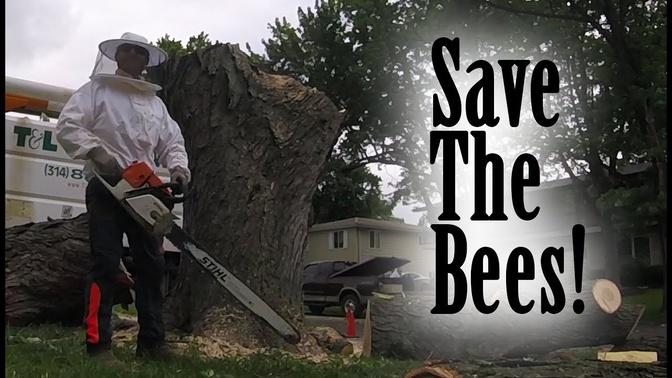 Operation_ Save The Bees!