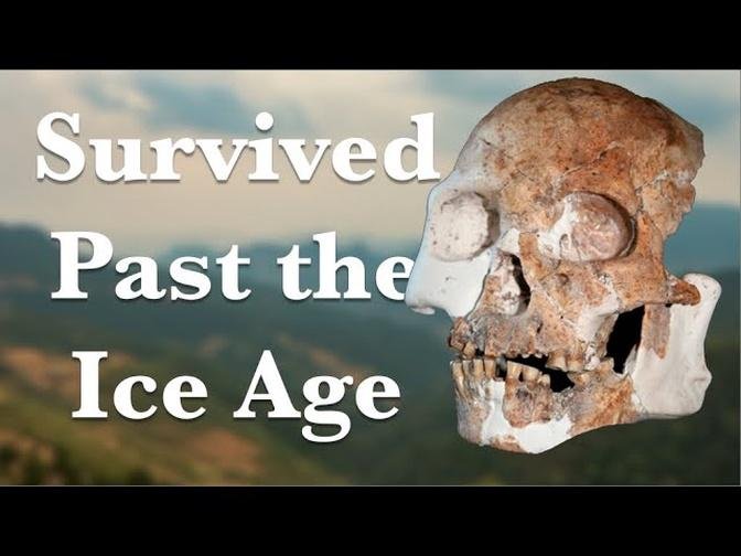 The Mystery Of The Red Deer Cave People   672 