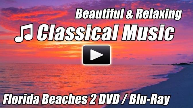 CLASSICAL MUSIC for Studying Beautiful Relaxing Background Instrumental Study Relax Piano Beethoven