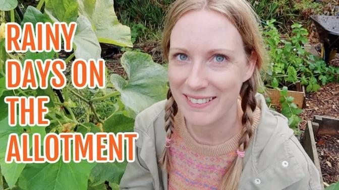 #AD RAINY DAY AT THE ALLOTMENT / SEPTEMBER 2022 / EMMA'S ALLOTMENT DIARIES