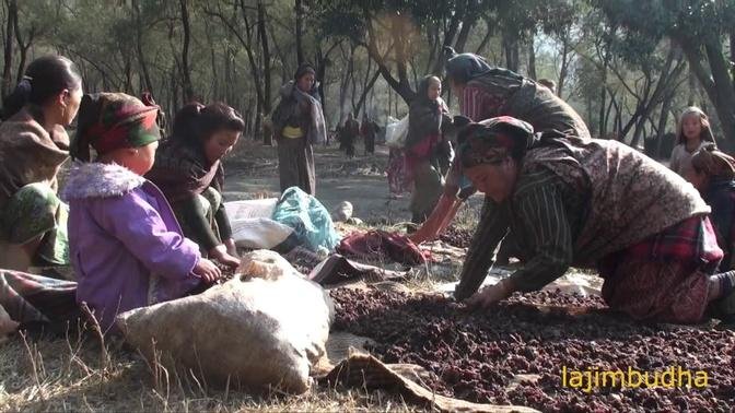making dry meat in indigenous way || village life ||