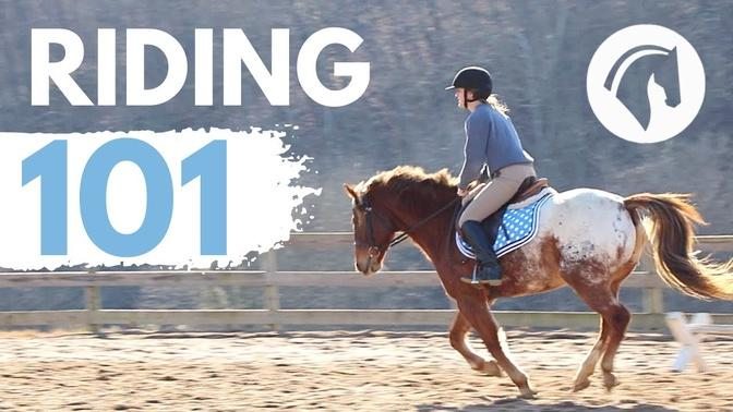 HOW TO RIDE A HORSE  EASY BEGINNERS GUIDE 