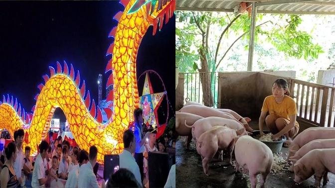 Take care of pigs and chickens.  We invite you to enjoy the Mid-Autumn Festival. 