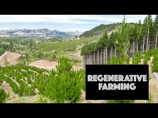 Regenerative Farming | Agroforestry