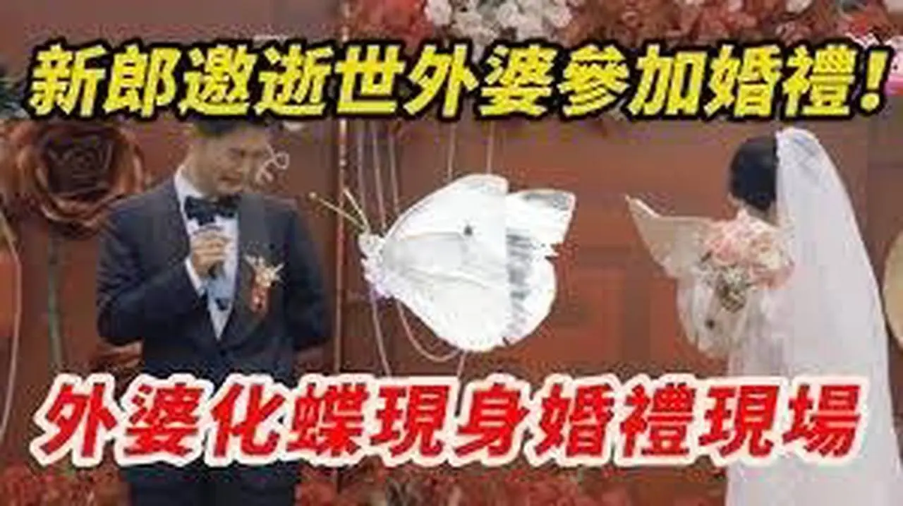過客 | 婚禮上，外婆化作蝴蝶來看他