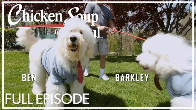 Pet Caves -- "Ben & Barkley" | FULL EPISODE | 2022 | Reality Series, Animals
