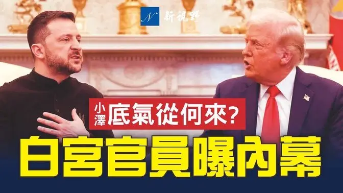 澤連斯基與川普萬斯爭執，白宮官員曝內情。馬斯克審計援烏資金，發現了問題。華盛頓誰在撐腰，小澤與川普對抗？ #川普 #澤連斯基 #馬斯克 | 新視野 第1718期 20250302