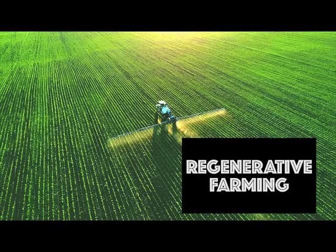 Regenerative Farming | Cover Crops & Soil Health