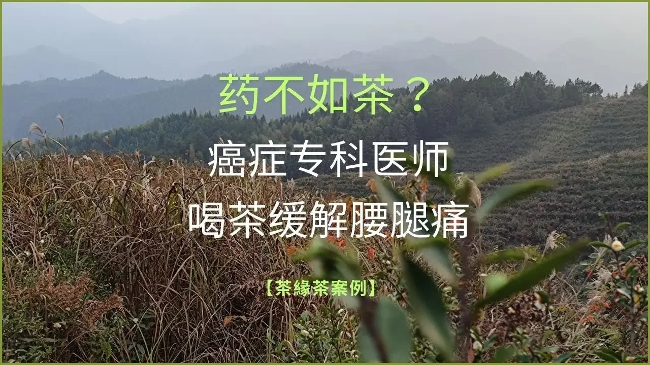 【茶緣茶疗】药不如茶？癌症专科医师喝茶半小时，腰腿痛缓解！